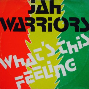 Jah Warriors - What's This Feeling